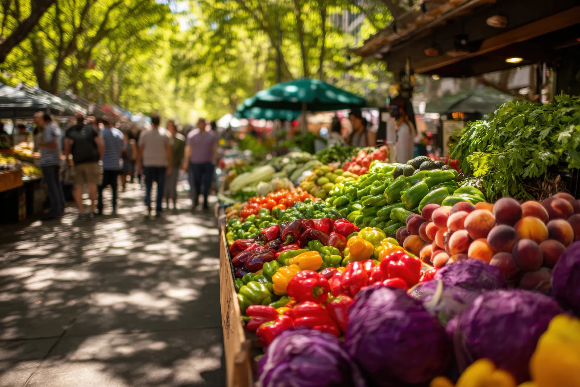 Expériences gourmandes en Provence